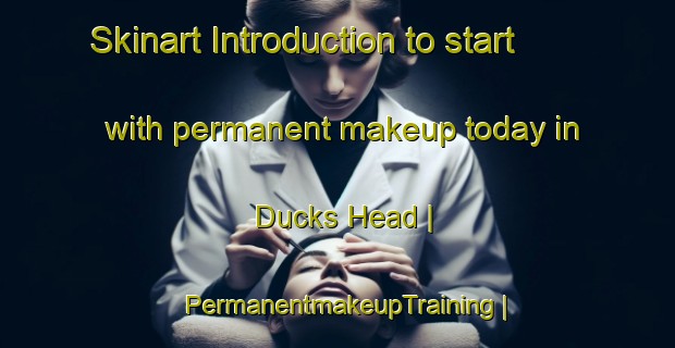Skinart Introduction to start with permanent makeup today in Ducks Head | PermanentmakeupTraining | PermanentmakeupClasses | SkinartTraining-United States